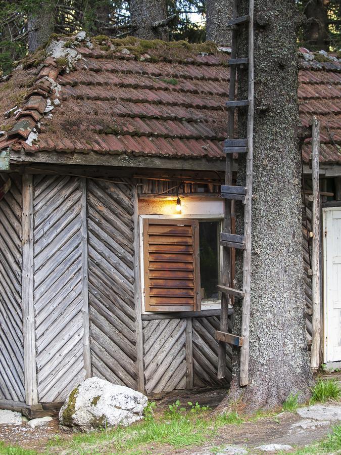 Lovna Hut Villa Panichishte Eksteriør billede