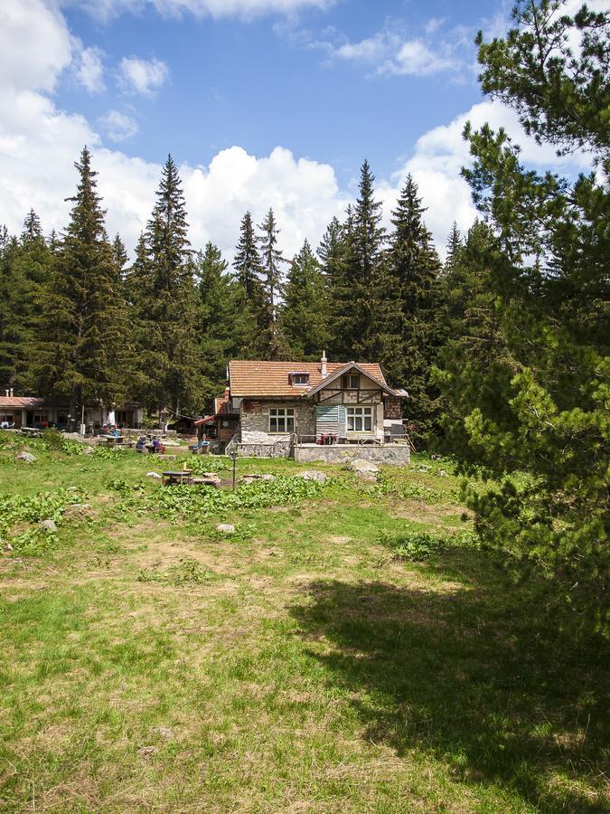 Lovna Hut Villa Panichishte Eksteriør billede