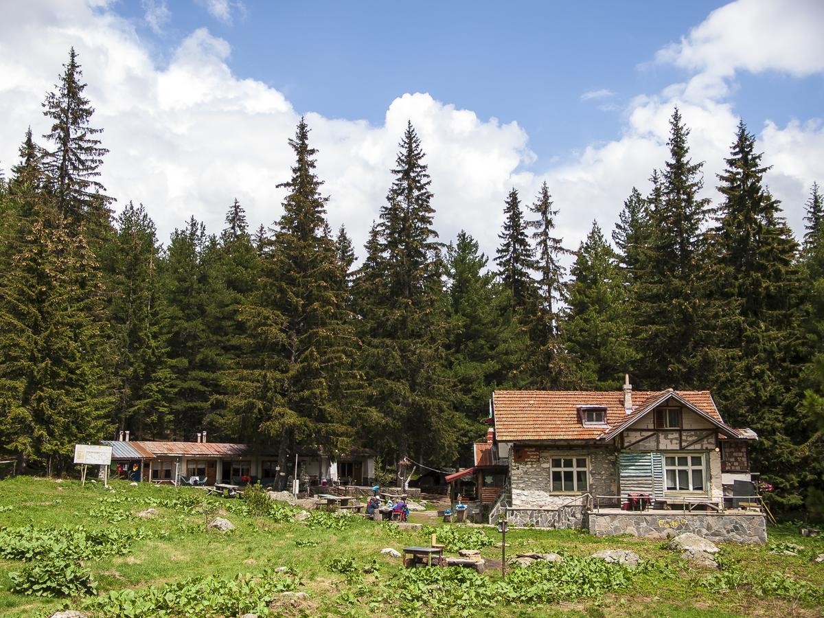 Lovna Hut Villa Panichishte Eksteriør billede